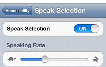 Speak Selection settings