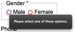 Gender * fieldset legend Male radio button red border focused Popover Please select one of these options. Female radio button red border.