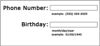 Form showing correct format for phone number and birth day.