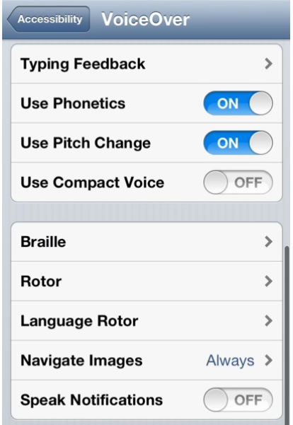 VoiceOver settings screen 2