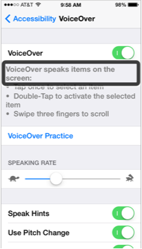 voiceover settings screen