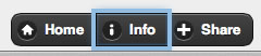 Showing a 4px light blue outline applied via CSS to buttons with focus.